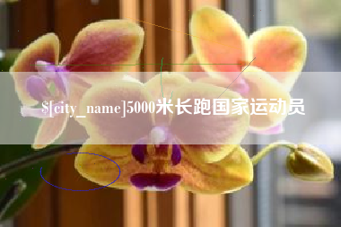 三河5000米长跑国家运动员