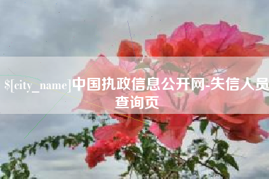 三河中国执政信息公开网-失信人员查询页