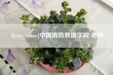 三河中国消防救援学院 老师
