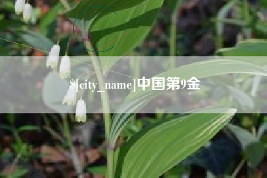 三河中国第9金