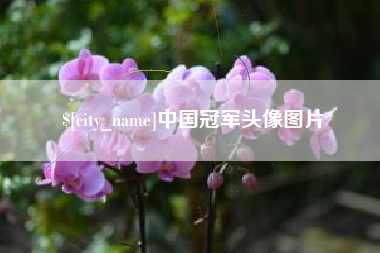 三河中国冠军头像图片