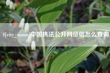 三河中国执法公开网征信怎么查询