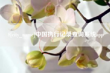 三河中国执行记录查询系统app