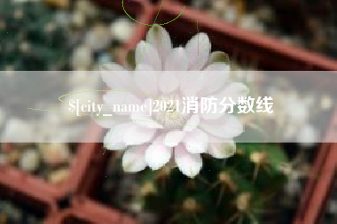 三河2021消防分数线
