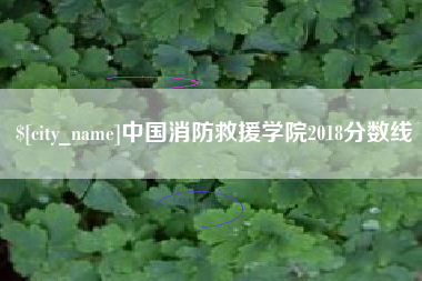 三河中国消防救援学院2018分数线