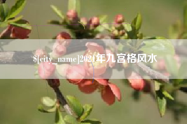 三河2021年九宫格风水