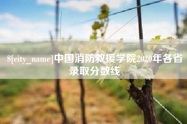 三河中国消防救援学院2020年各省录取分数线