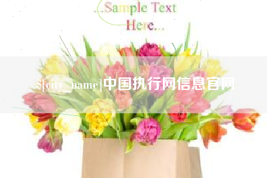 三河中国执行网信息官网
