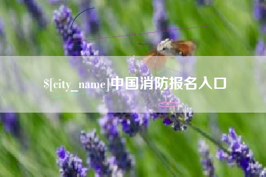 三河中国消防报名入口