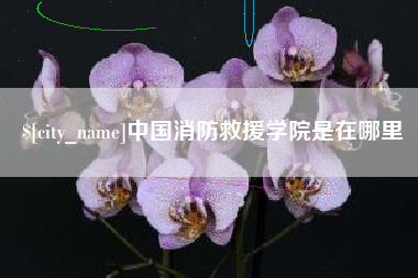 三河中国消防救援学院是在哪里