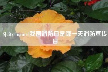 三河我国消防日是哪一天消防宣传日