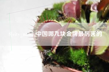 三河中国哪九块金牌最厉害的