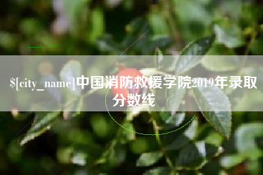 三河中国消防救援学院2019年录取分数线
