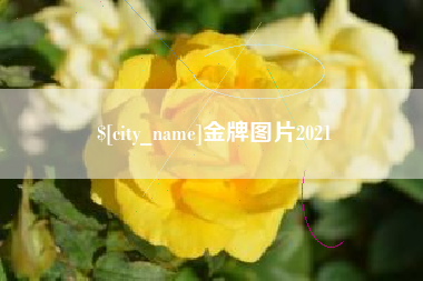 三河金牌图片2021