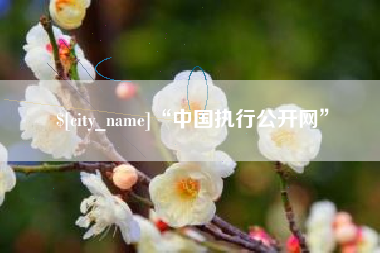 三河“中国执行公开网”