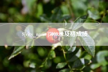 三河5000米及格成绩