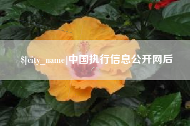 三河中国执行信息公开网后