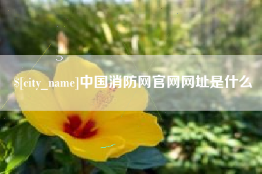 三河中国消防网官网网址是什么