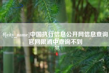三河中国执行信息公开网信息查询官网限消中查询不到