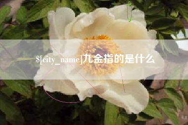 三河九金指的是什么