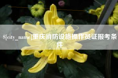 三河重庆消防设施操作员证报考条件