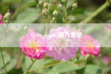 三河第九金是
