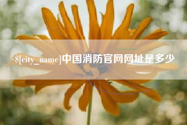 三河中国消防官网网址是多少