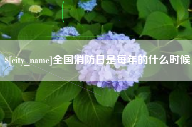 三河全国消防日是每年的什么时候