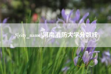 三河河南消防大学分数线