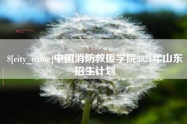 三河中国消防救援学院2021年山东招生计划