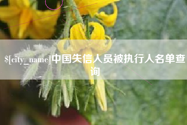 三河中国失信人员被执行人名单查询