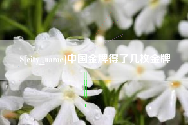三河中国金牌得了几枚金牌