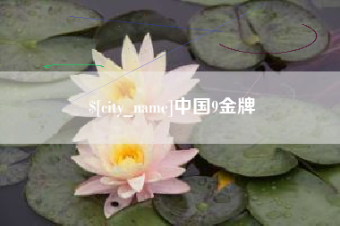 三河中国9金牌