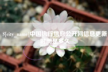 三河中国执行信息公开网信息更新时间是多久