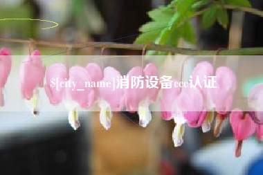 三河消防设备ccc认证