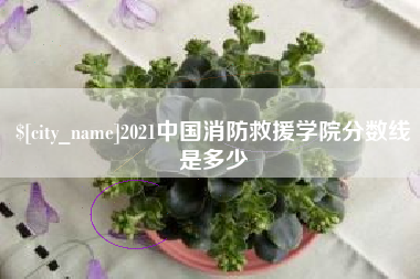 三河2021中国消防救援学院分数线是多少