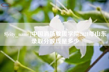 三河中国消防救援学院2021年山东录取分数线是多少