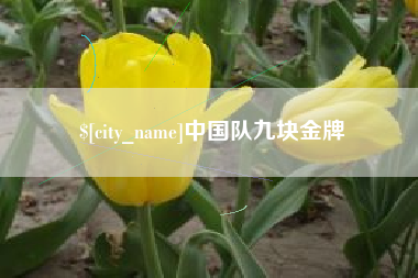 三河中国队九块金牌
