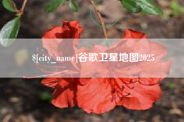 三河谷歌卫星地图2025