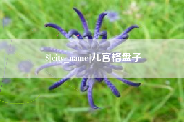 三河九宫格盘子