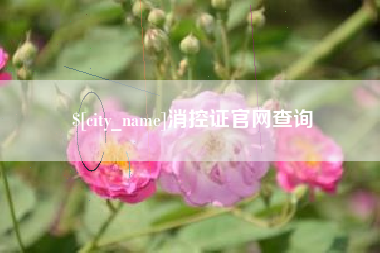 三河消控证官网查询