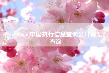三河中国执行信息查询公开网怎么查询