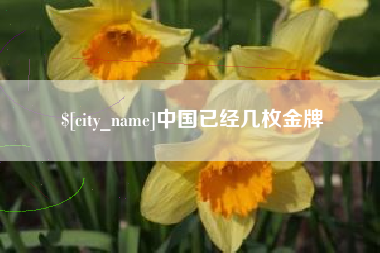 三河中国已经几枚金牌