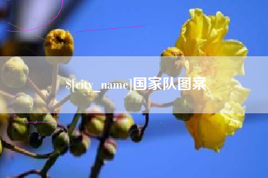 三河国家队图案