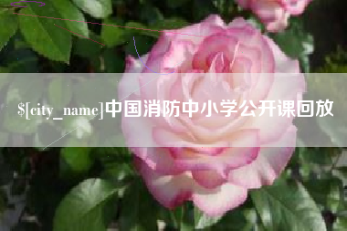 三河中国消防中小学公开课回放