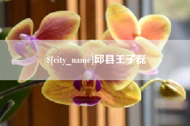 三河邱县王子磊