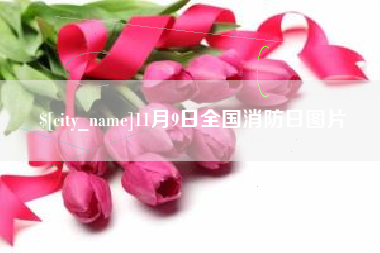 三河11月9日全国消防日图片