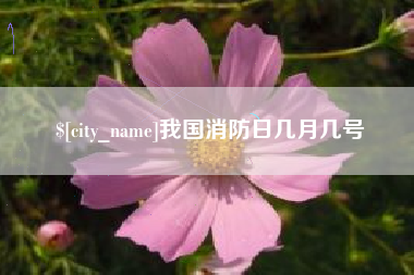 三河我国消防日几月几号