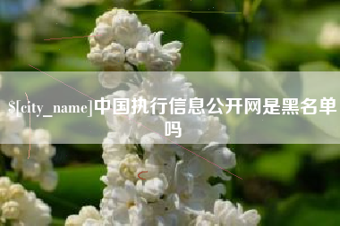 三河中国执行信息公开网是黑名单吗