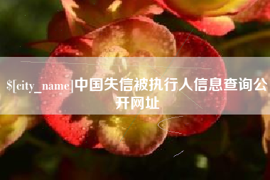 三河中国失信被执行人信息查询公开网址